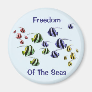 Aimant Poissons tropicaux colorés nageant l'aimant libre