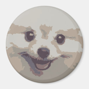 AIMANT POIVRE CHIEN