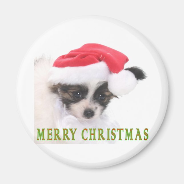 AIMANT POIVRE DE NOËL (Devant)