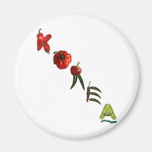 Aimant Poivrons de piment de la Corée