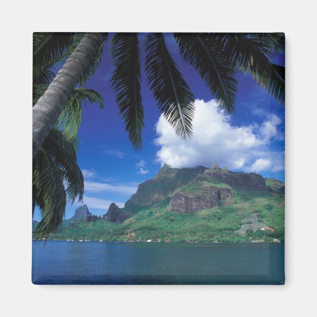 Aimant Polynésie française, Moorea. Cooks Bay. Green (Devant)