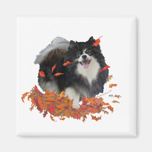 Aimant Pomeranian en Automne