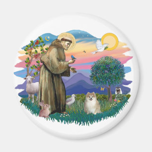 Aimant Poméranien (fawn)