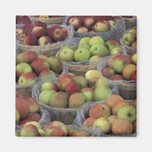 Aimant Pommes Macintosh d'État de New York dans des pani
