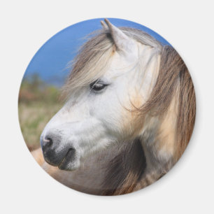 Aimant Poney de gallois