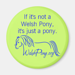 Aimant Poney de gallois et société d'épi de l'Amériqu