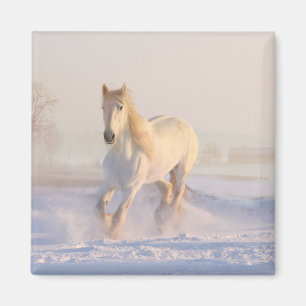Aimant Poney de la ferme équestre de l'Ouest