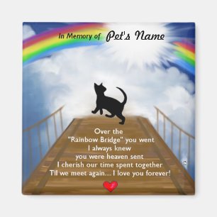 Aimant Pont en arc-en-ciel pour des chats