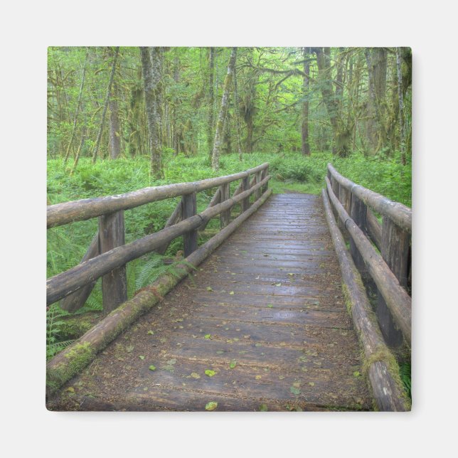 Aimant Pont en bois, fougères et (Devant)