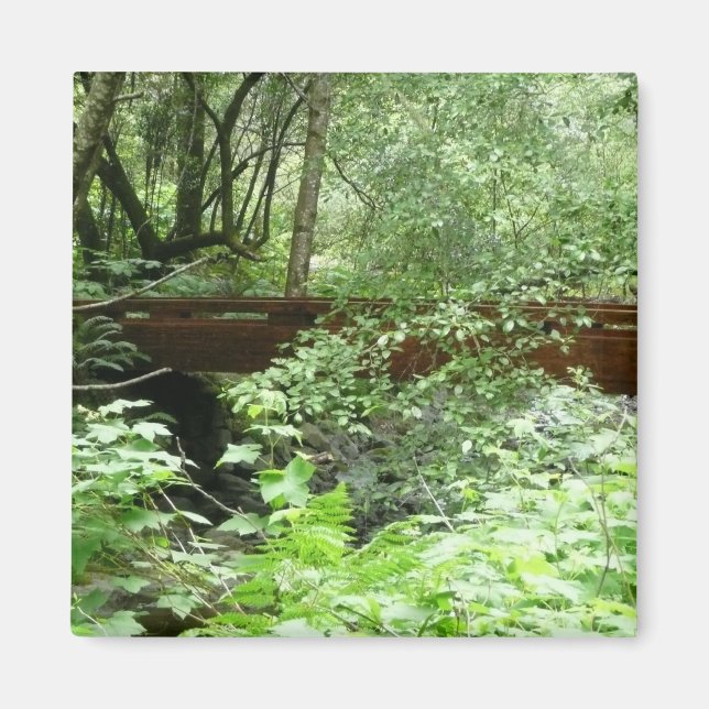 Aimant Pont Muir Woods I (Devant)