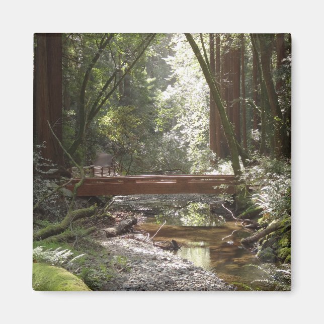 Aimant Pont Muir Woods II (Devant)