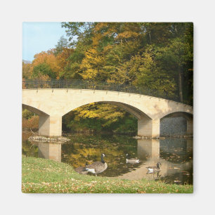 Aimant Pont Rainbow à l'automne au Grove City College