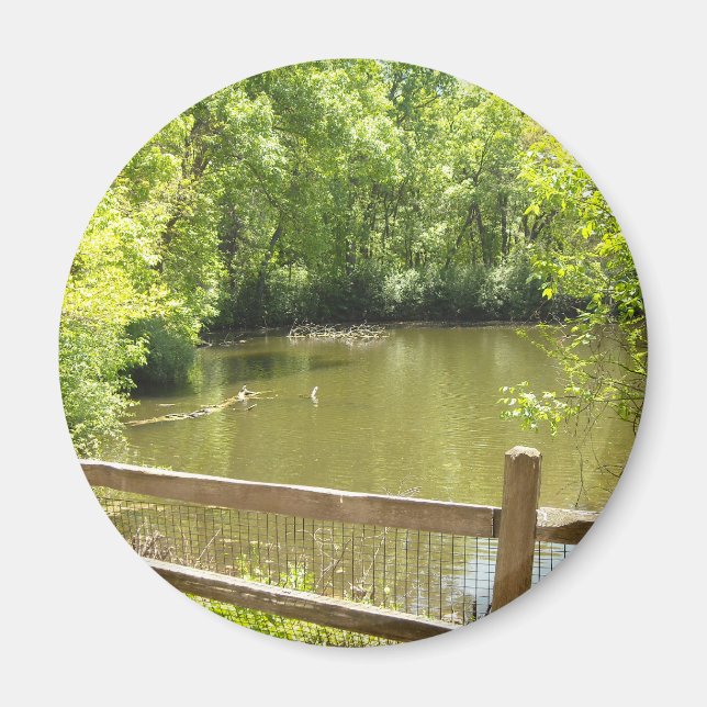 Aimant pont suranné (Devant)