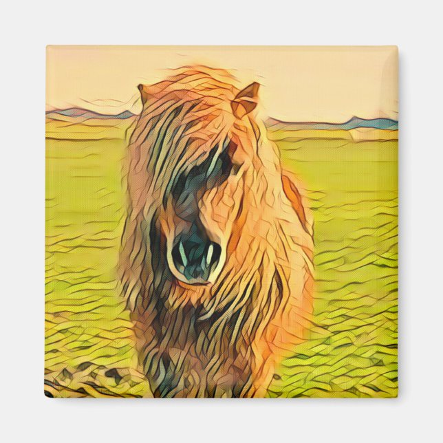 Aimant Pony (Devant)