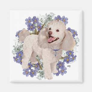 Aimant Poodle