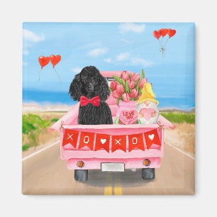 Aimant Poodle Chien Saint-Valentin Coeurs de Camion
