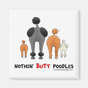 Aimant Poodles à boutons