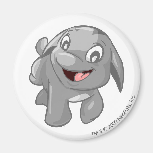 Aimant Poogle Silver (Devant)