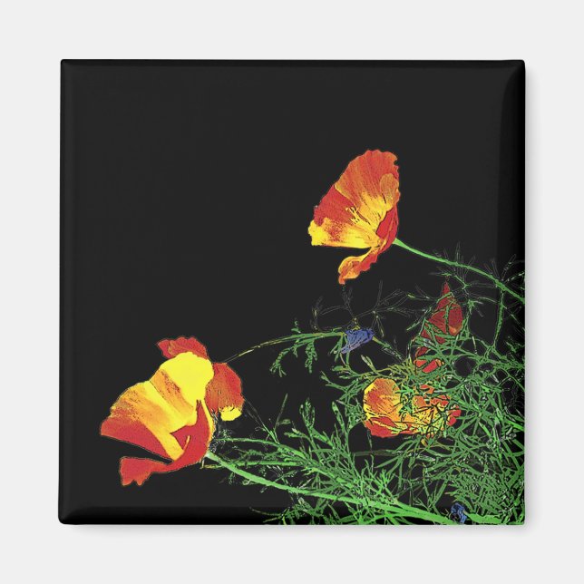 Aimant poppies de Californie dramatique sur noir (Devant)