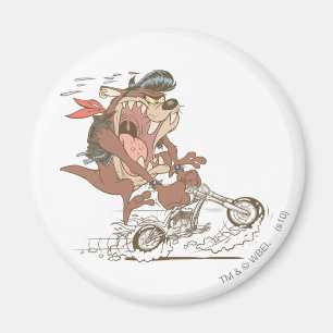 Aimant Porc à fente TAZ™