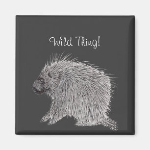 Aimant Porcupine