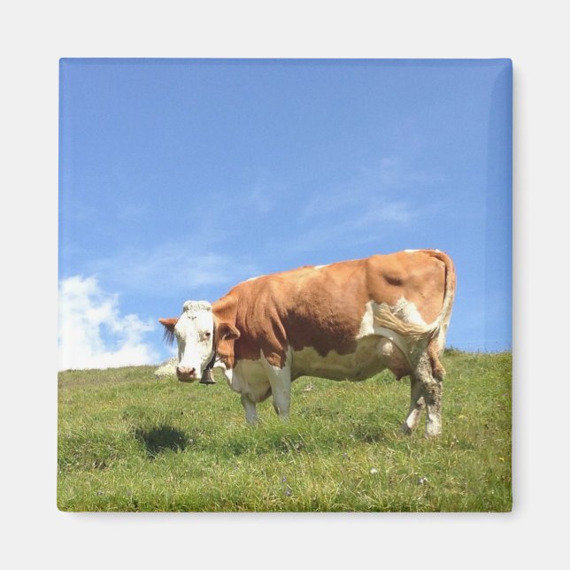 Aimant Portier de Fernerblick (Devant)