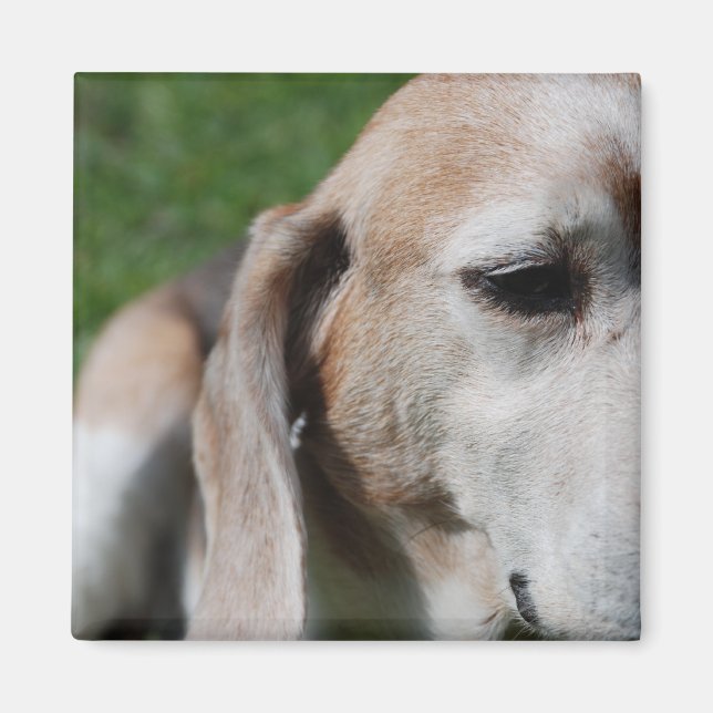 Aimant Portrait (Devant)