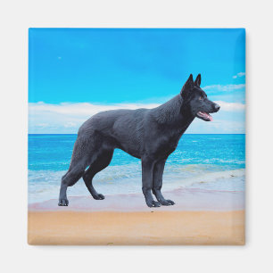 Aimant Portrait allemand Shepherd Dog Beach