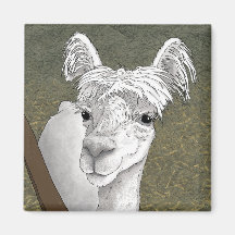 Portrait Alpaca 2