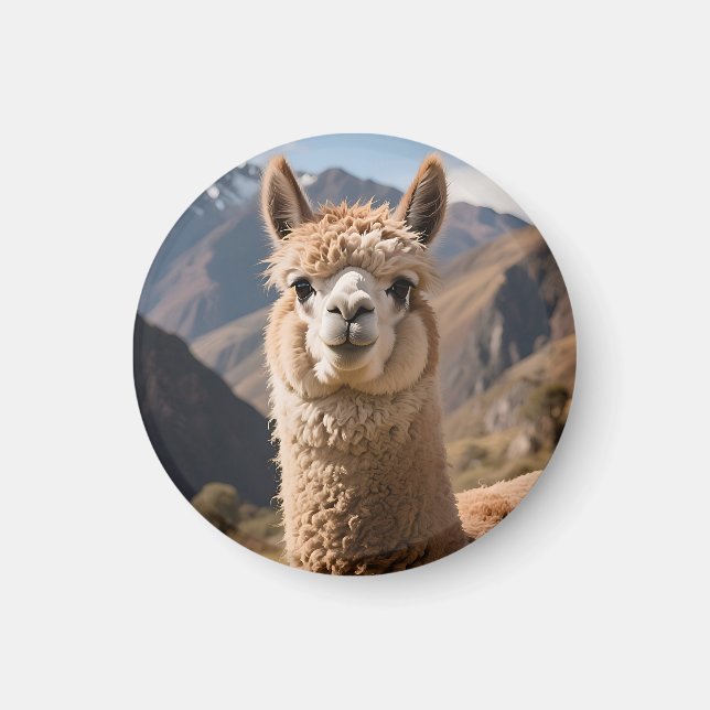 Aimant Portrait de lama curieux de la montagne (Devant)