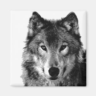 Aimant Portrait noir et blanc Wolf