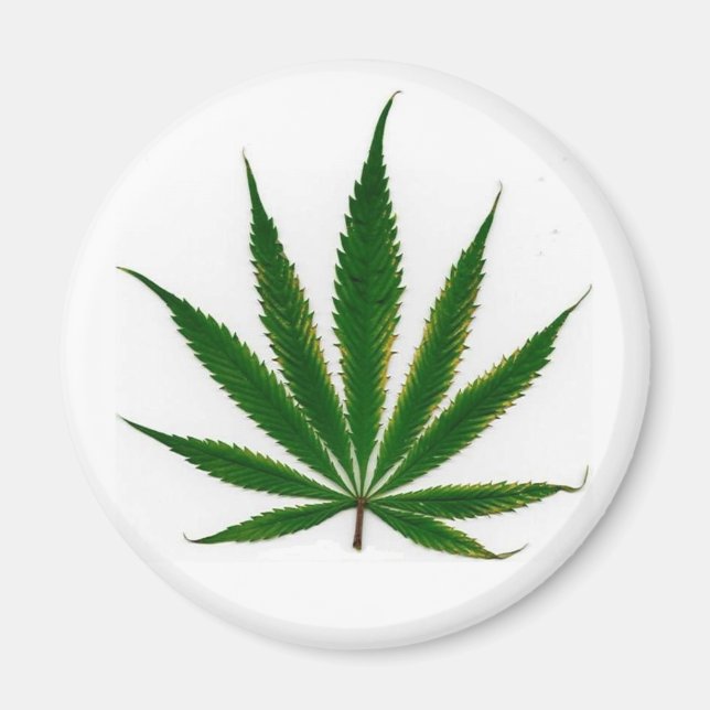 Aimant Pot feuille (Devant)