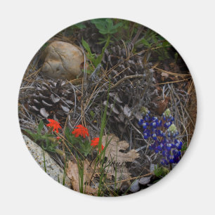 Aimant Potpourri