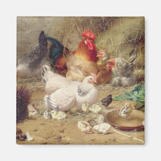 Aimant Poules nichant avec leurs poulets (Devant)