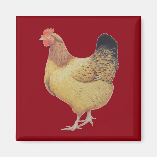 Aimant Poulet 2012 (Devant)