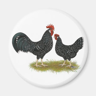 Aimant Poulets d'Ancona