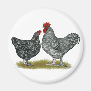 Aimant Poulets de Maline