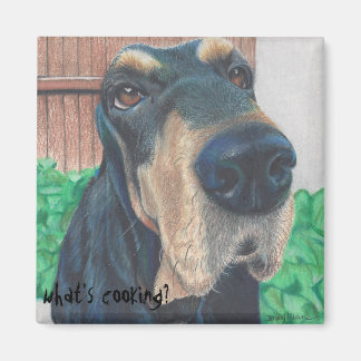 aimant pour chien