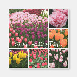Aimant pour tulipes de Skagit Valley, WA