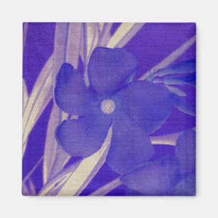 Aimant pourpre de fleur