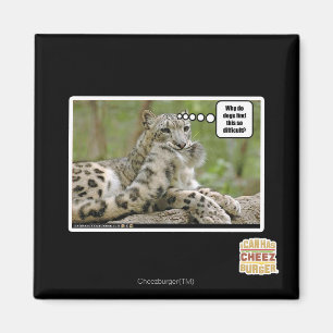 Aimant Pourquoi les chiens trouvent-ils cela si difficile