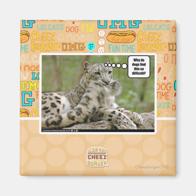 Aimant Pourquoi les chiens trouvent-ils cela si difficile (Devant)