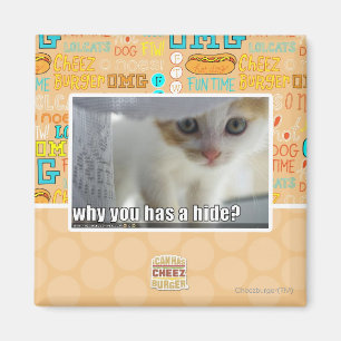 Aimant Pourquoi tu as une peau ?