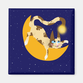 AIMANT POUSSER SUR LA LUNE