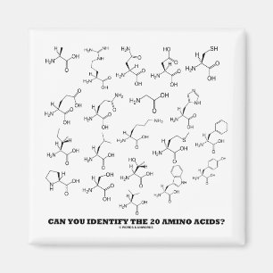 Aimant Pouvez-vous identifier les 20 acides aminés ?