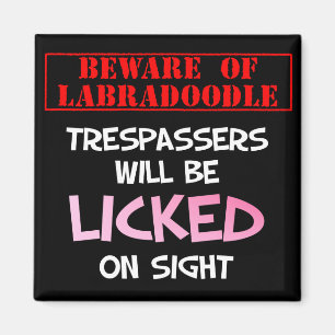 Aimant Prenez garde de lécher l'aimant (noir) de