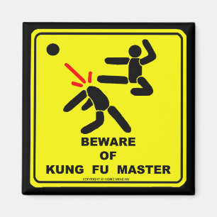 AIMANT PRENEZ GARDE DU MAÎTRE DE KUNG FU