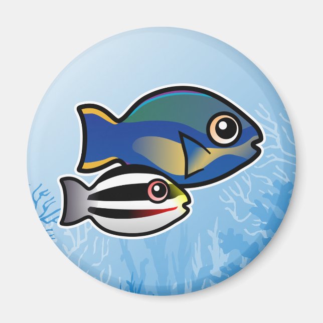 Aimant Princess Parrotfish (Devant)