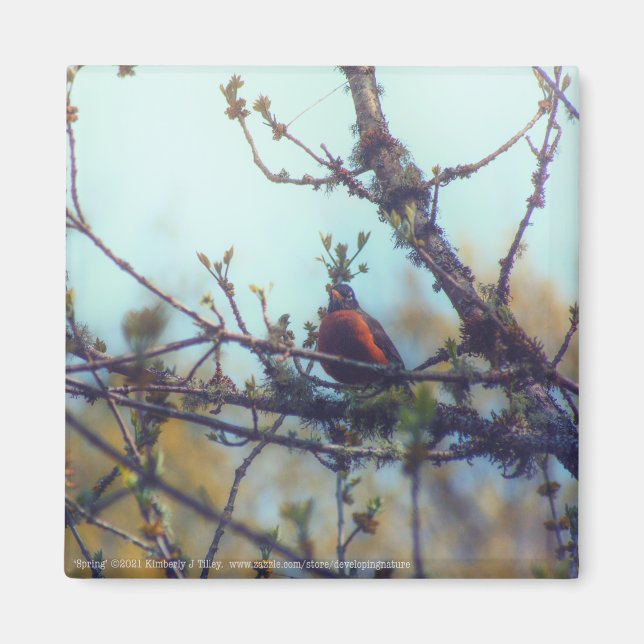 Aimant Printemps (Devant)