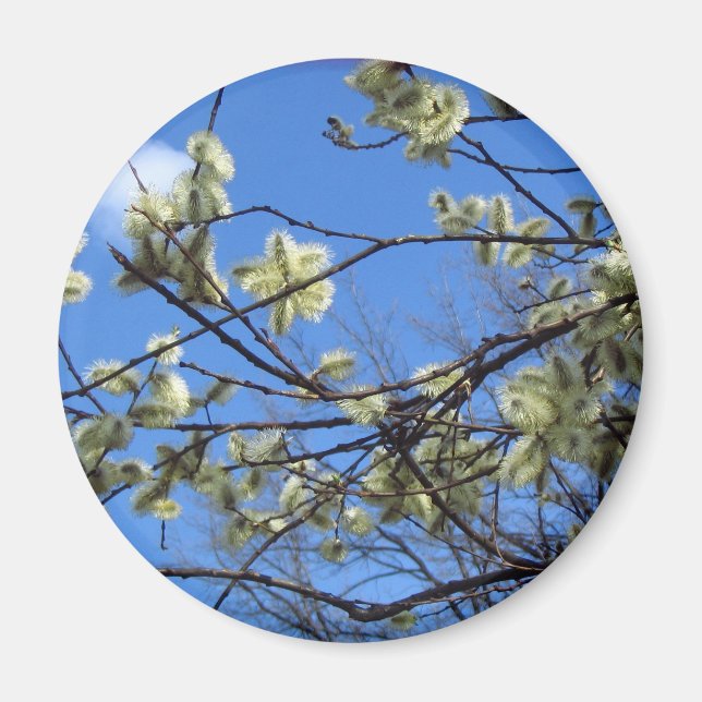 Aimant Printemps (Devant)